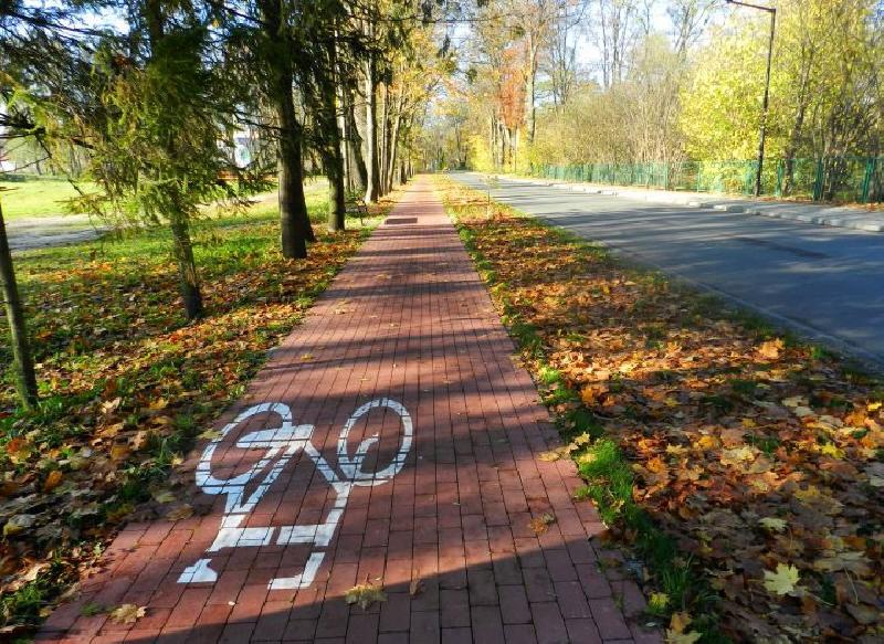 Ścieżka rowerowa pomiędzy ulicą po prawej stronie a trawą pokrytą opadłymi złotymi liśćmi i drzewami po lewej stronie